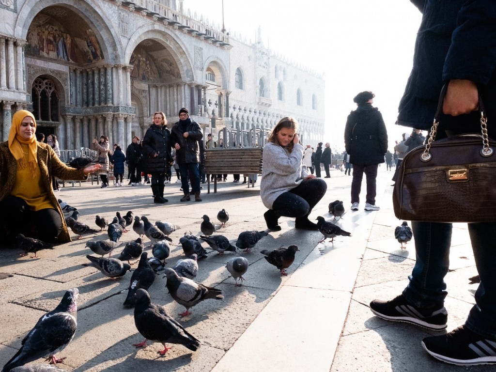 VISUALIZZA IMMAGINE